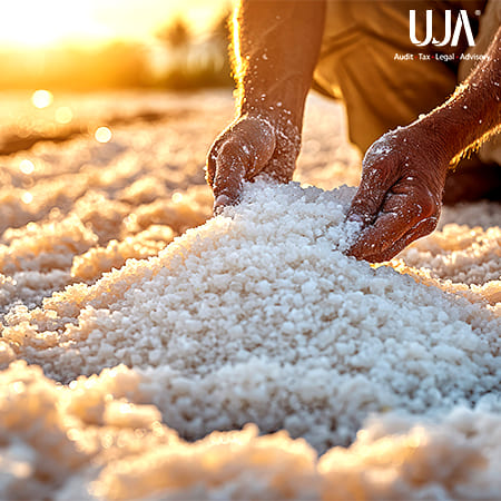 Market Report - Salt Industry in India