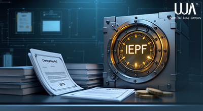 Understanding IEPF Under the Companies Act, 2013 A Complete Guide